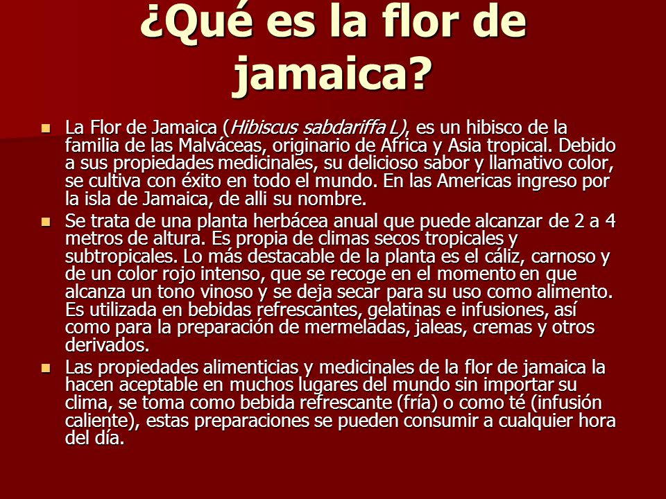 flor de jamaica sus propiedades medicinales flor de jamaica sus propiedades medicinales